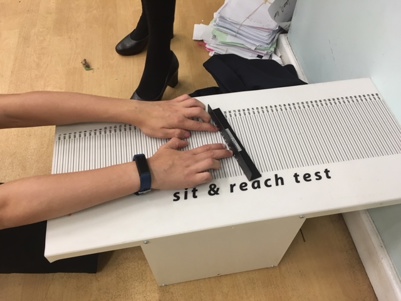sit and reach test