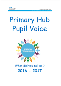 Primary Hub Report 2016-17